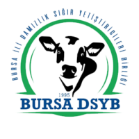 bursadsyb-logo